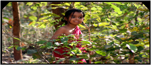image gallery